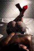 Foto Emma Brasil Annunci Girl Viareggio 3474887733 - 6