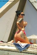 Foto Ilenia Annunci Girl Verbania 3209767007 - 1